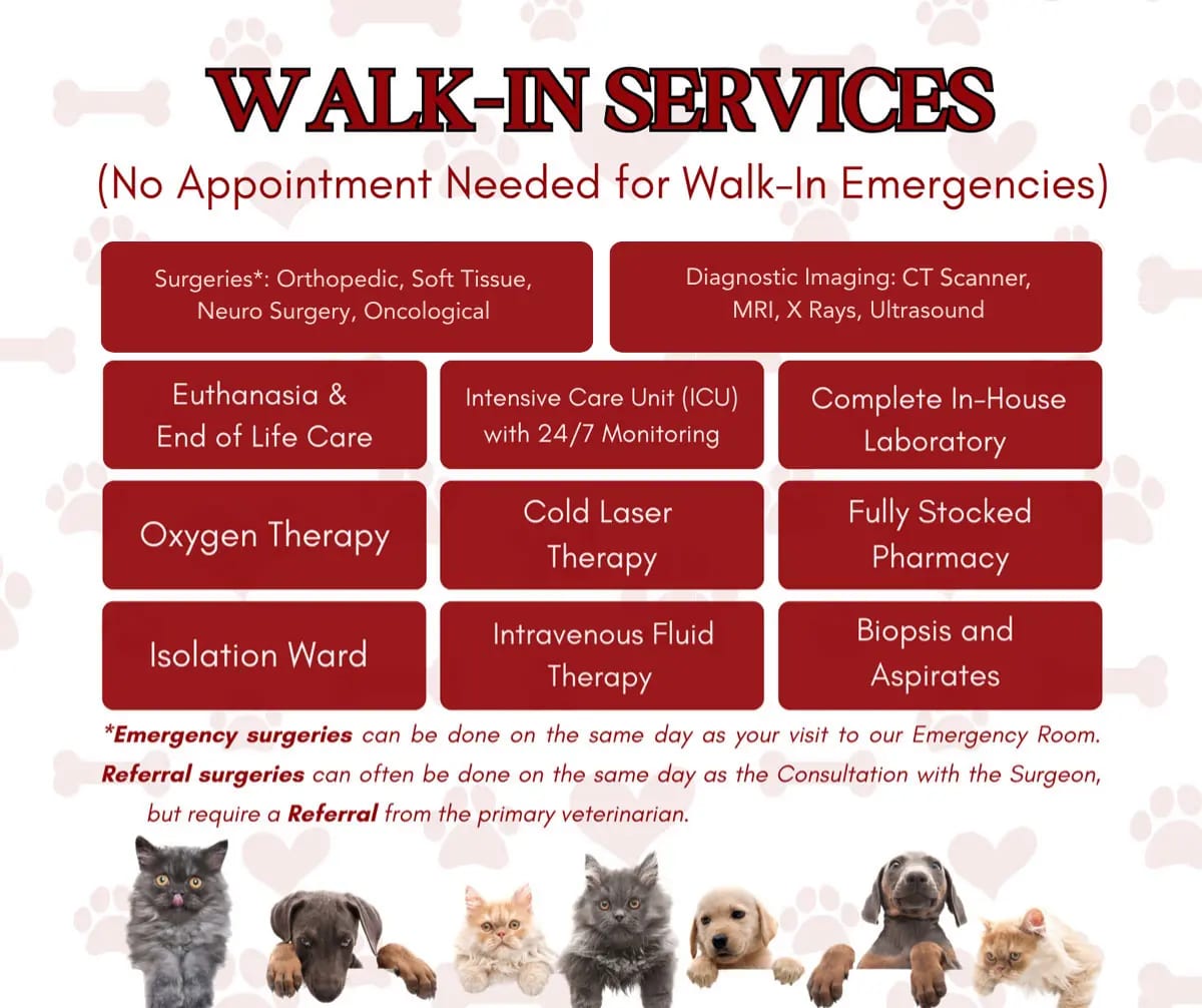Veterinary Surgical Center of Long Island - Huntington