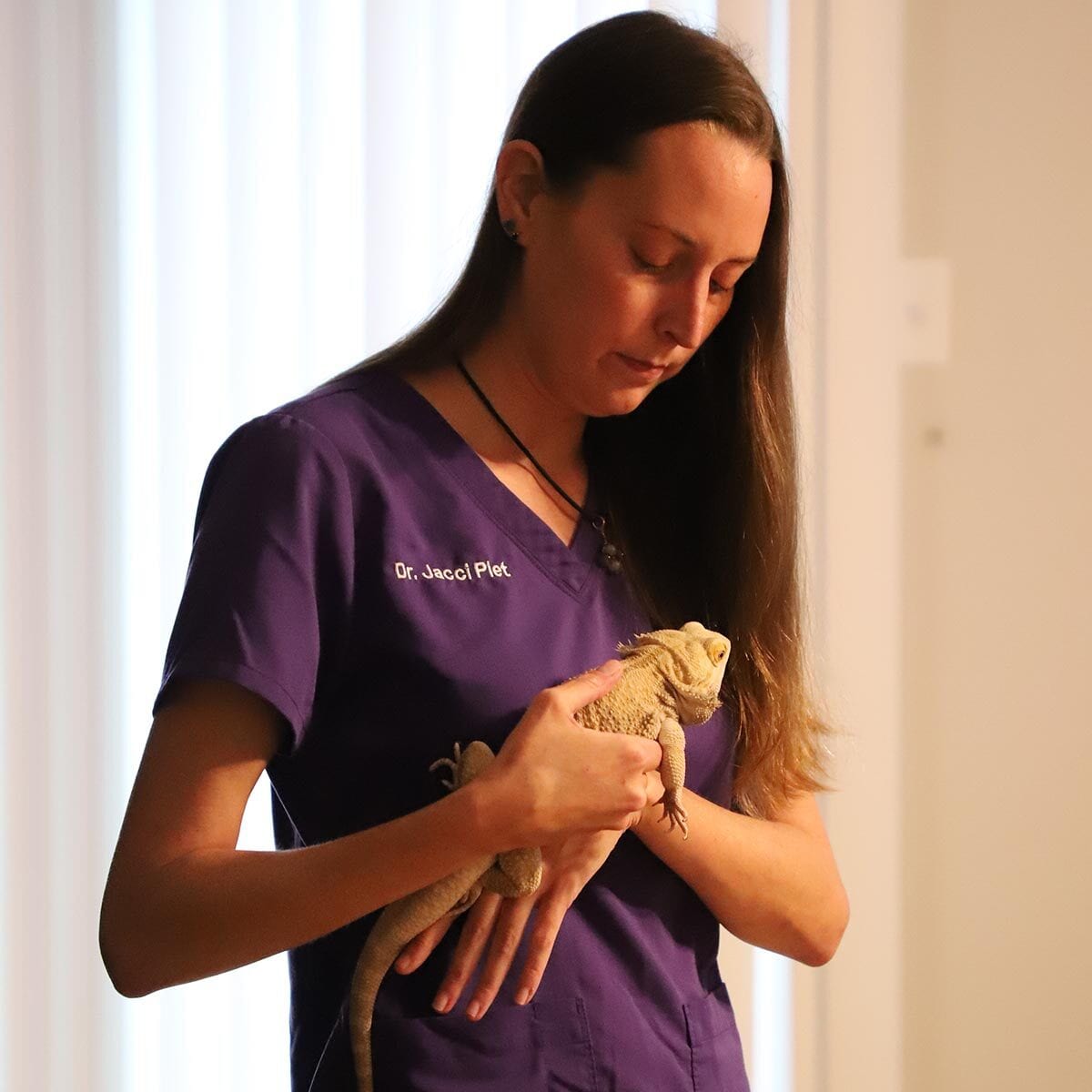 Person in purple scrubs holding a small tan lizard against their chest