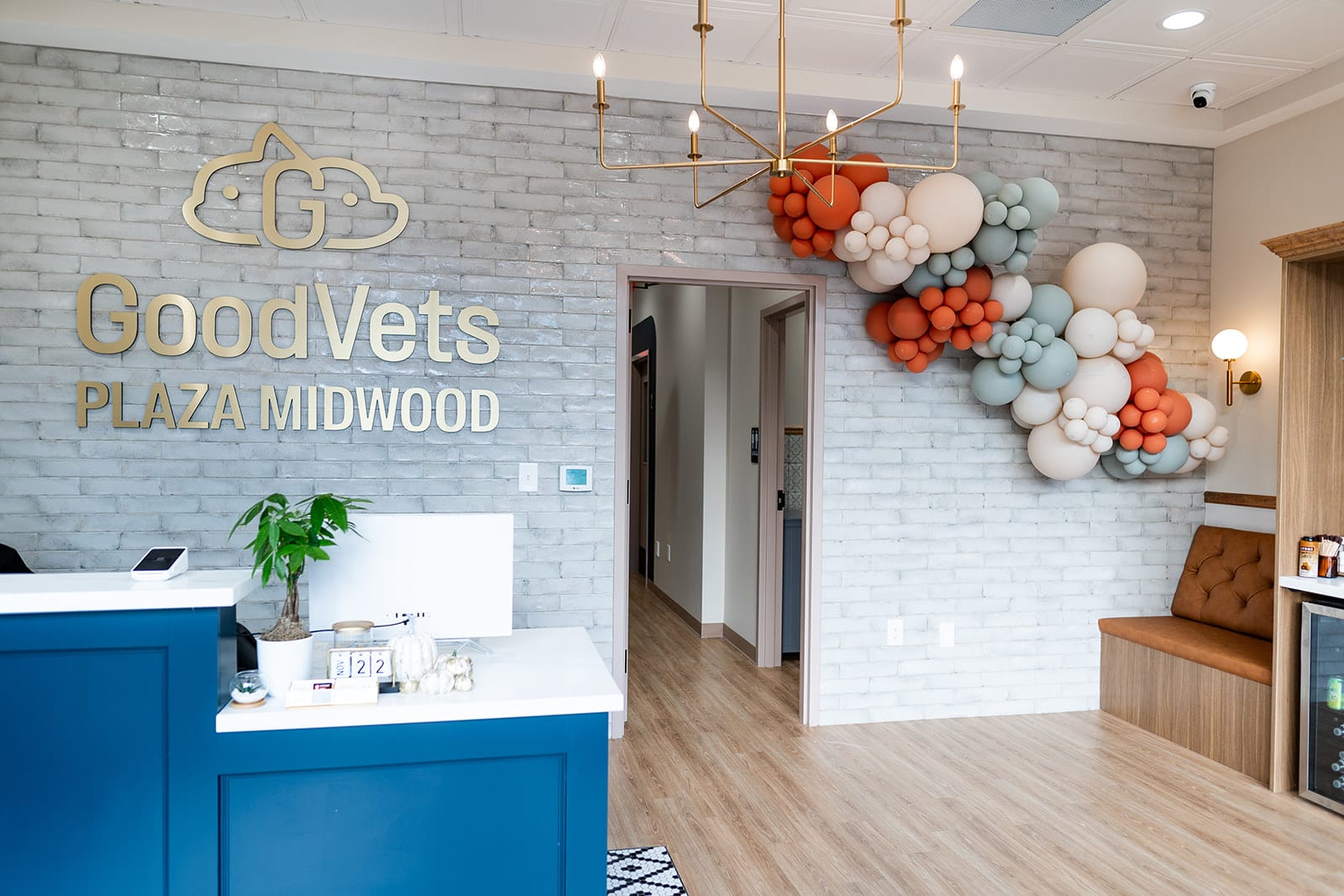 GoodVets Plaza Midwood - Charlotte