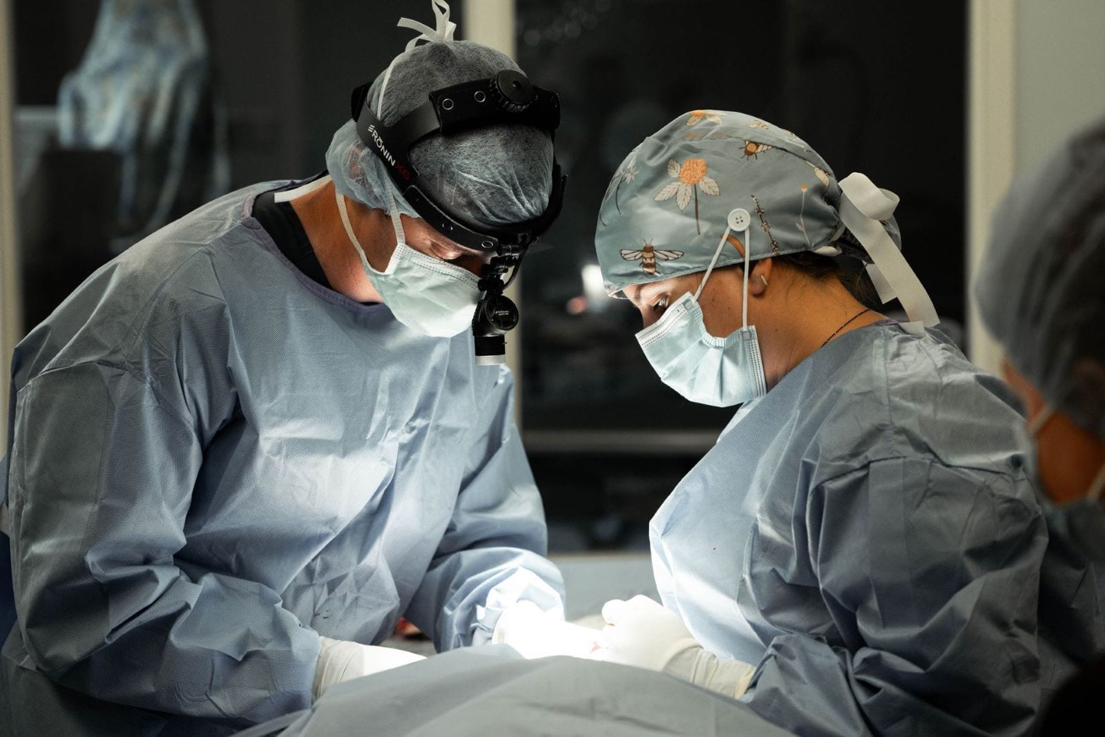 Eastern Carolina Veterinary Medical Center - Wilmington