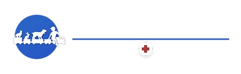 Kitty Hawk Animal Hospital - Universal City