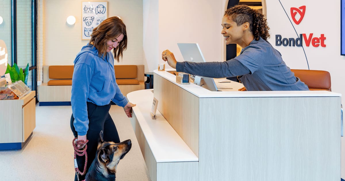 Reception desk at Bond Vet with a person and a dog at the counter and a staff member behind it