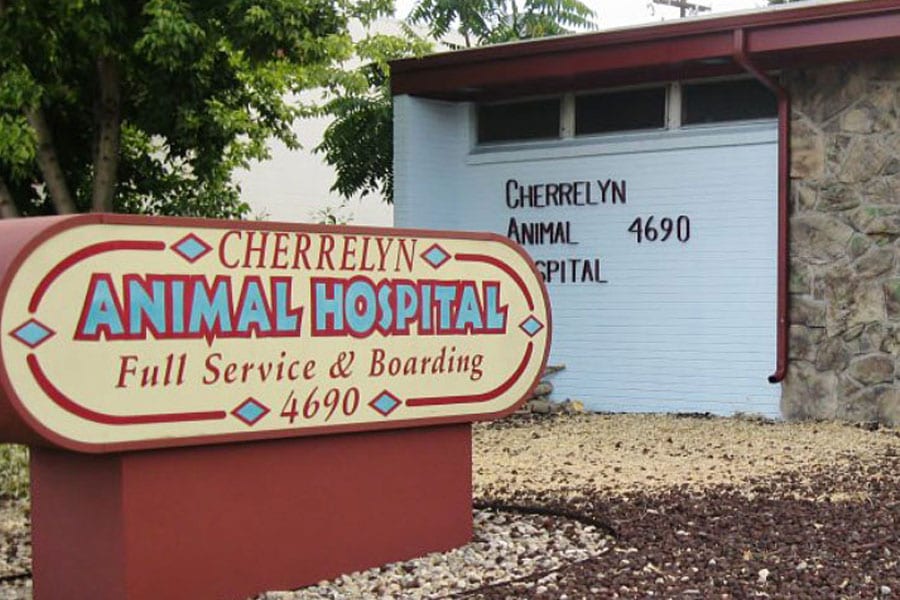Cherrelyn Animal Hospital - Englewood