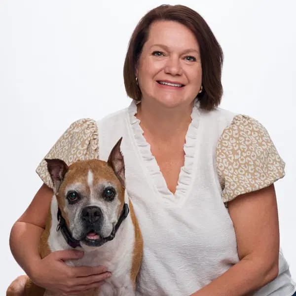MedVet Houston Bay Area - Houston