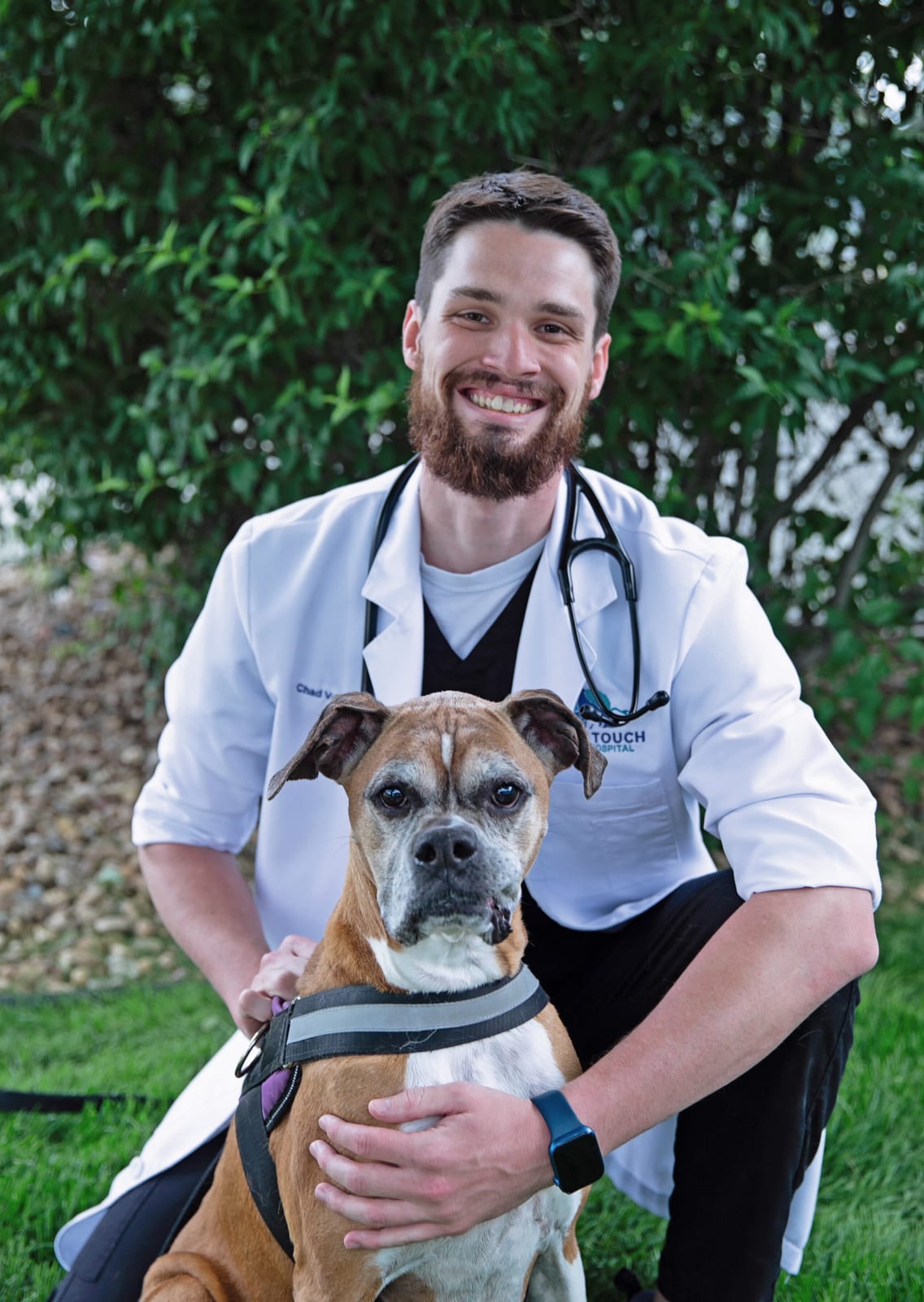 Smiling bearded man in a white coat with a stethoscope kneeling beside a brown and white dog