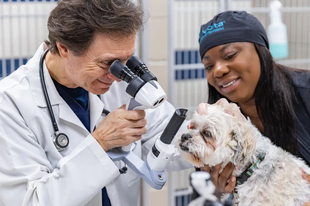 Person in a white coat and a person in a dark cap with a small white dog and a handheld instrument