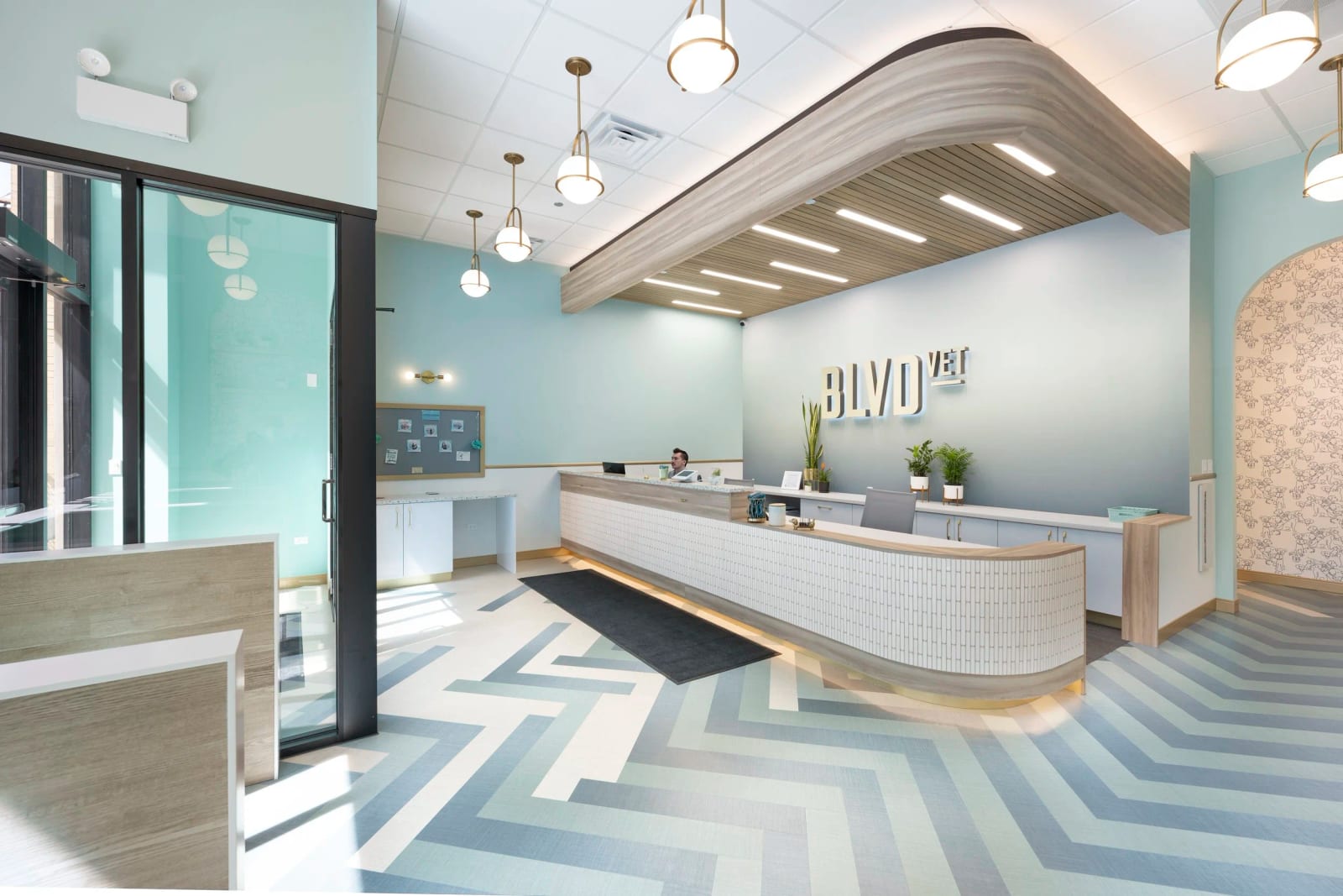 BLVD Vet Lakeview Lincoln Park - Chicago