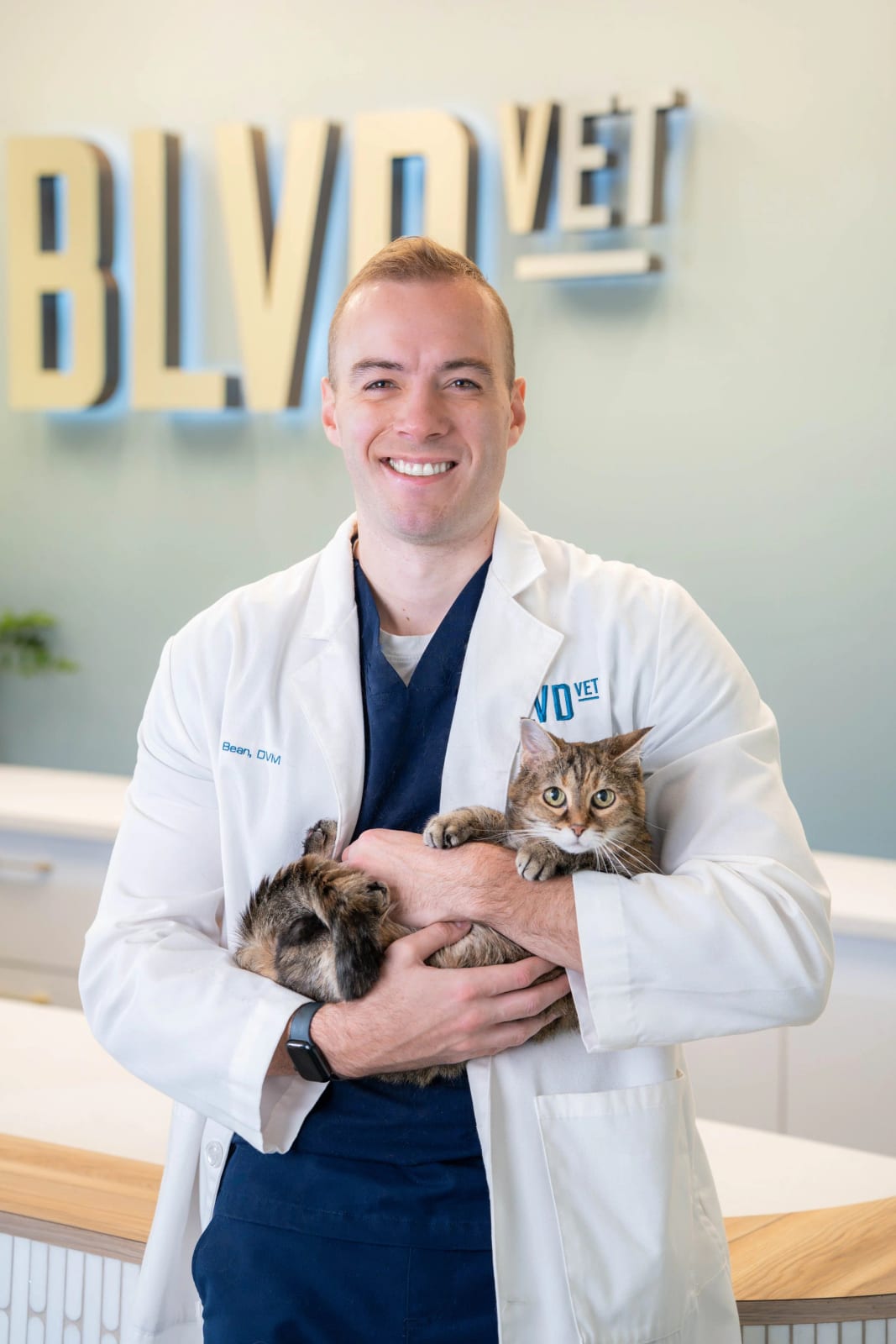 Smiling man in a white coat holding a tabby cat in front of a BLVD Vet sign