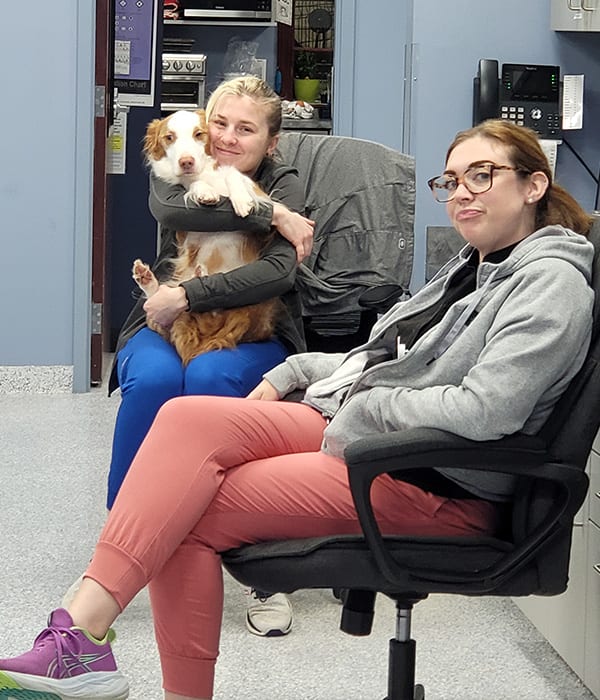 Two staff members seated in a work area, one holding a small brown and white dog on her lap