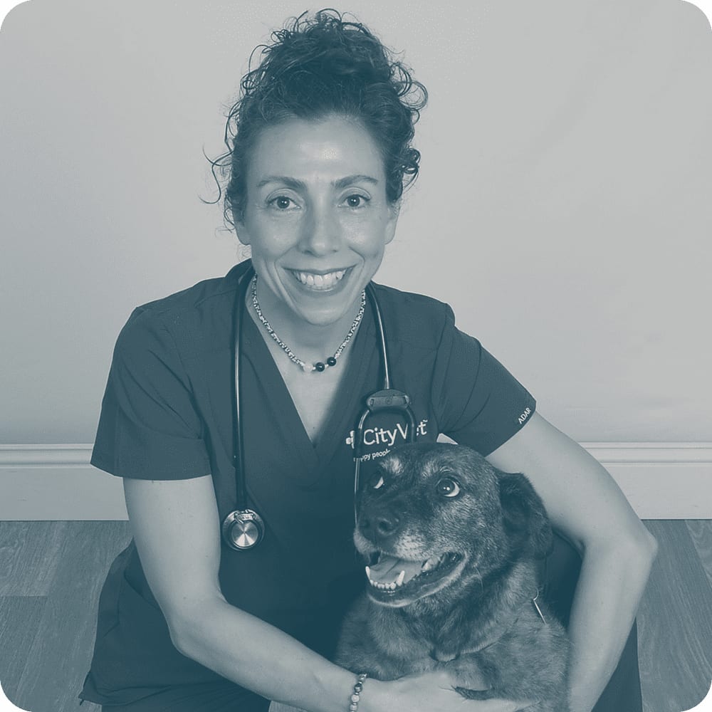 CityVet | Old East Dallas - Dallas