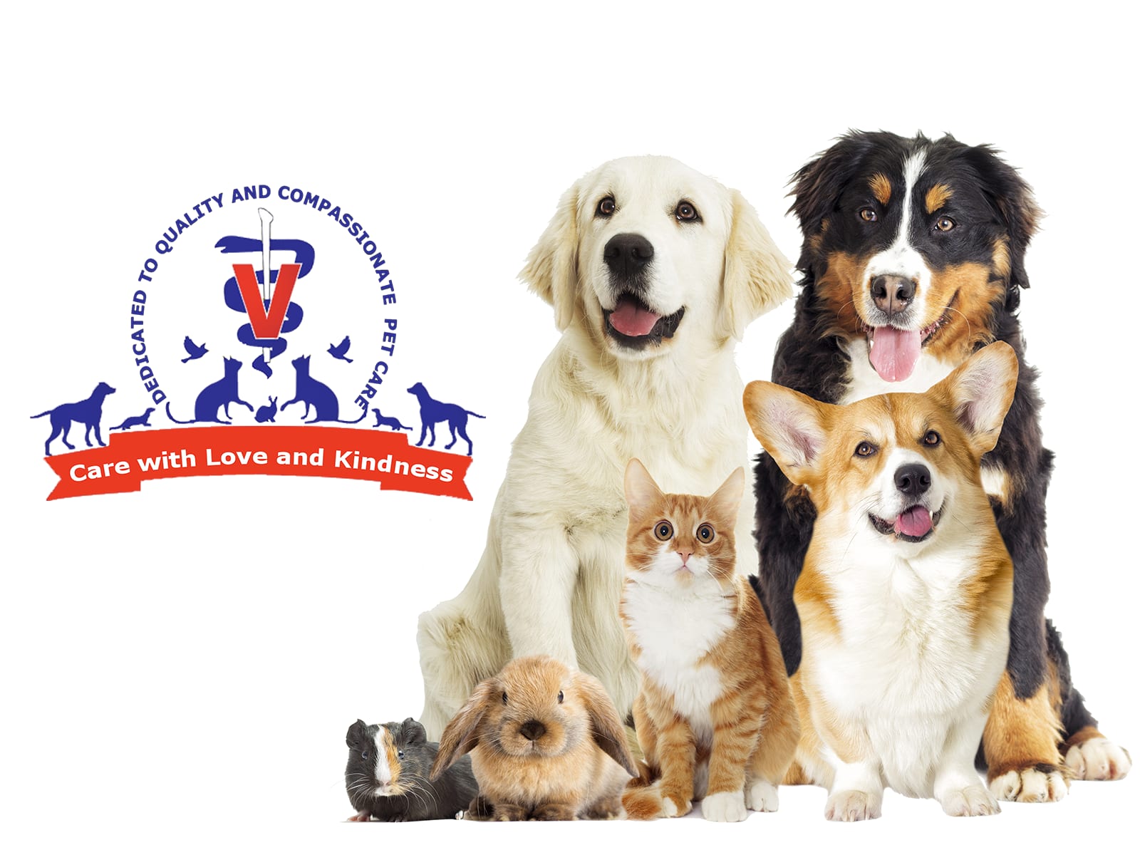 Animal Care Center of Plainview - Plainview