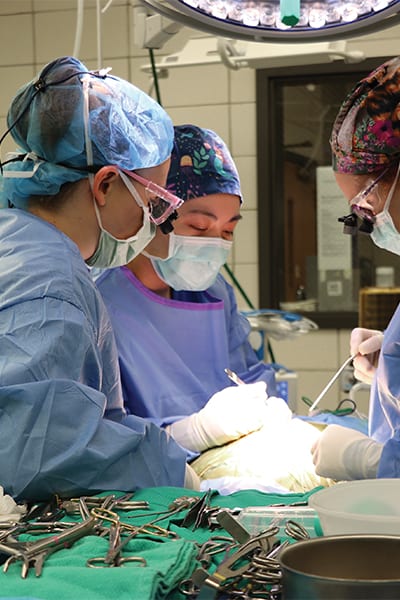Masked people in blue surgical scrubs and caps working at a table under bright overhead lights