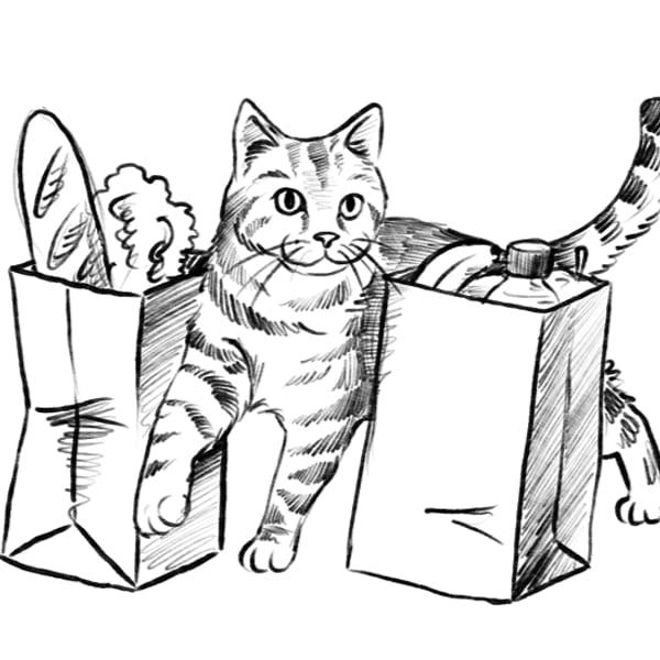 Black and white pen sketch of a tabby cat standing between two paper grocery bags