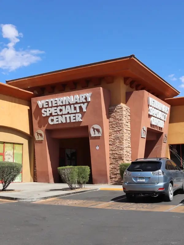 Entrance of Las Vegas Veterinary Specialty Center with a stone-clad pillar and a grey SUV outside