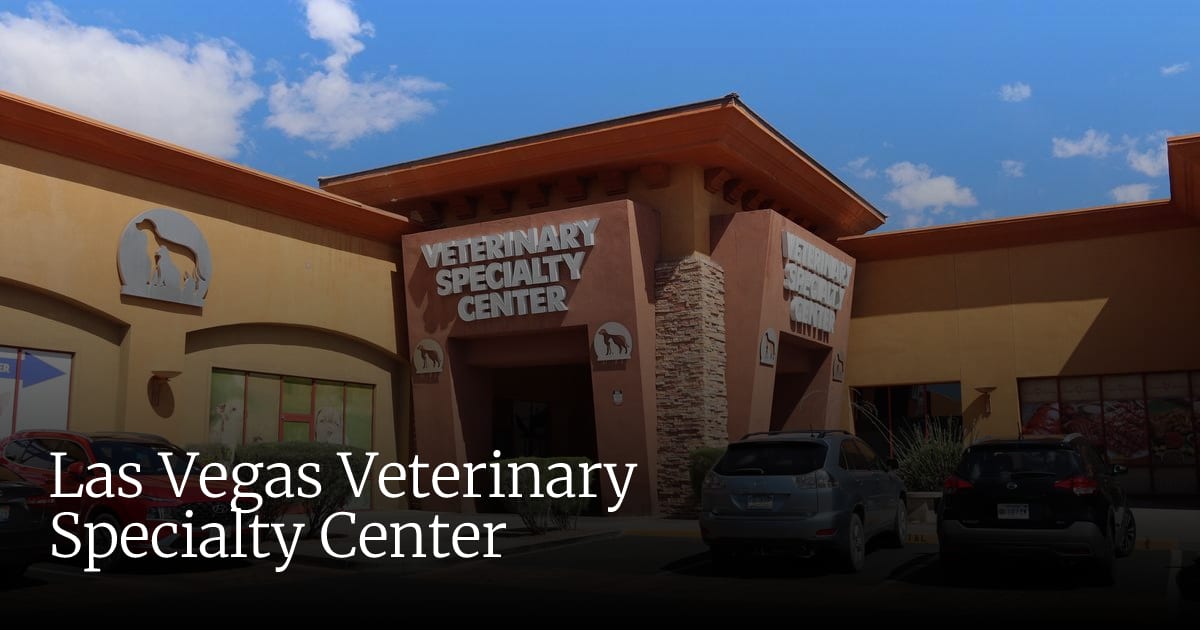 Las Vegas Veterinary Specialty Center building with tan walls and a terracotta entrance tower