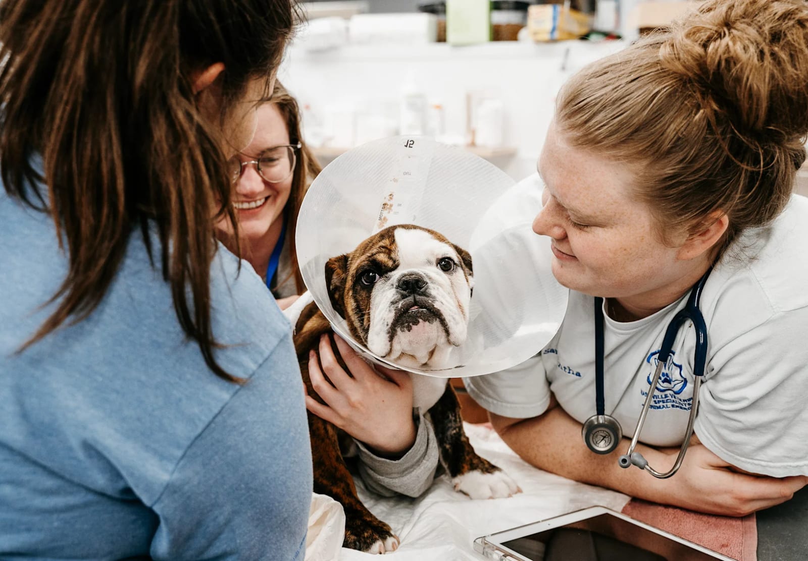 Small brown and white dog in a clear cone collar with three smiling women around it