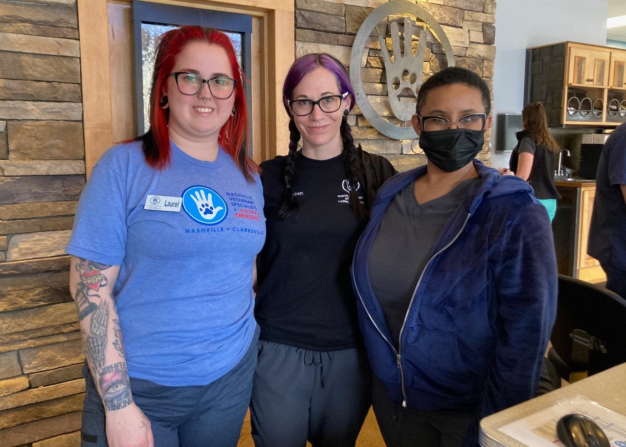 Three women standing together indoors with a stone wall and paw-print emblem behind them