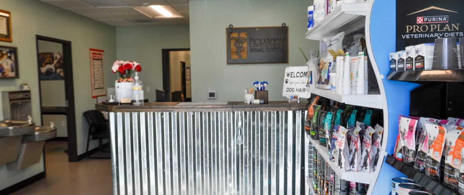 Pickaroon Animal Hospital - Windsor
