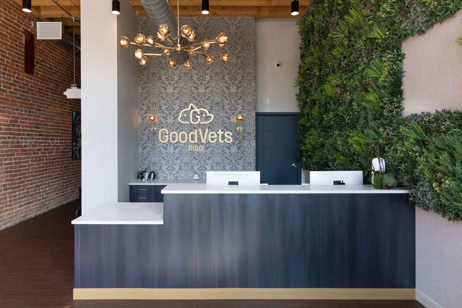 GoodVets RiNo - Denver