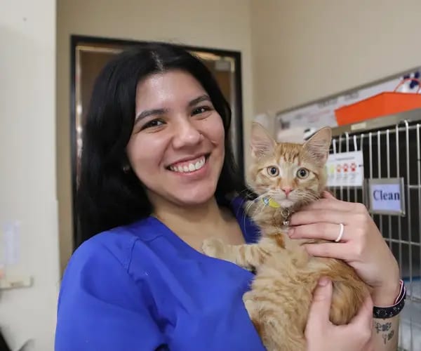Smiling woman in blue scrubs holding an orange kitten in front of kennel cages