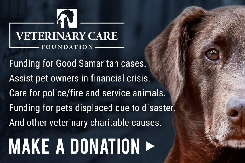 Donation banner with a brown dog's face and text about funding for veterinary charitable causes