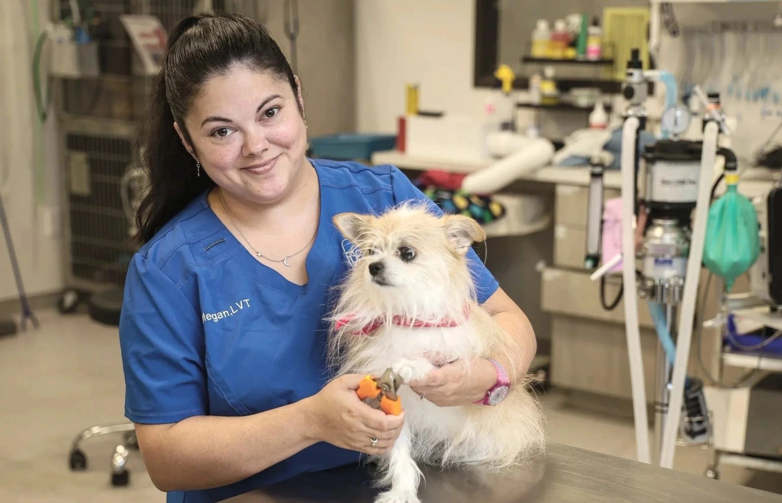 Leander Veterinary Clinic - Leander