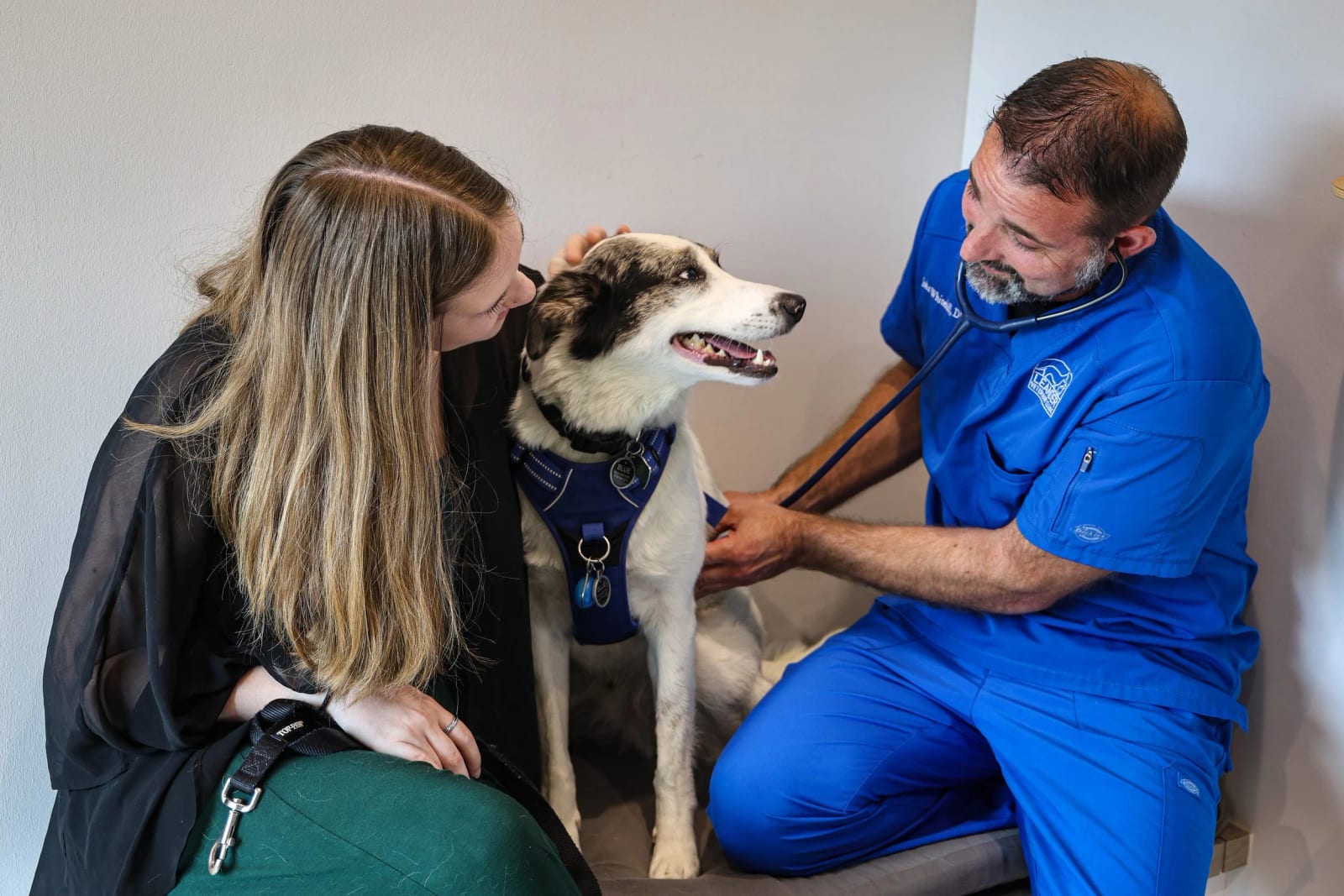 Person in blue scrubs with a stethoscope beside a black and white dog and a woman with long hair