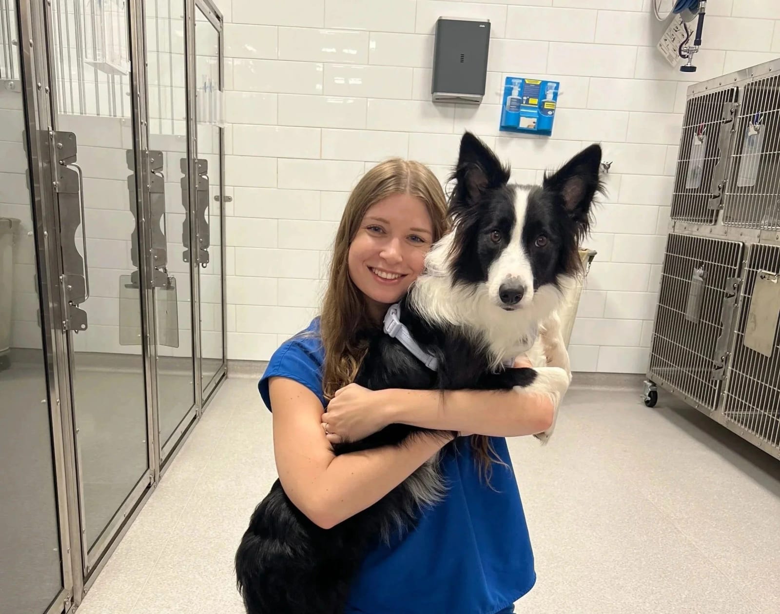 Smiling woman in blue scrubs hugging a black and white dog beside stainless steel kennels