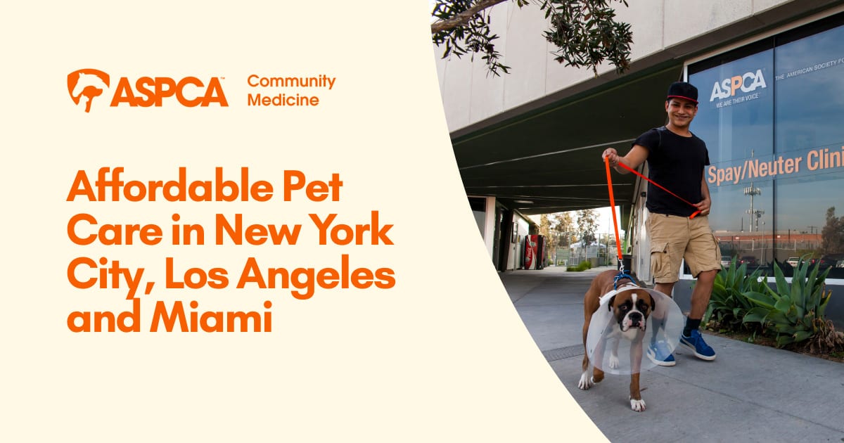 ASPCA Community Medicine banner reading Affordable Pet Care in New York City, Los Angeles and Miami