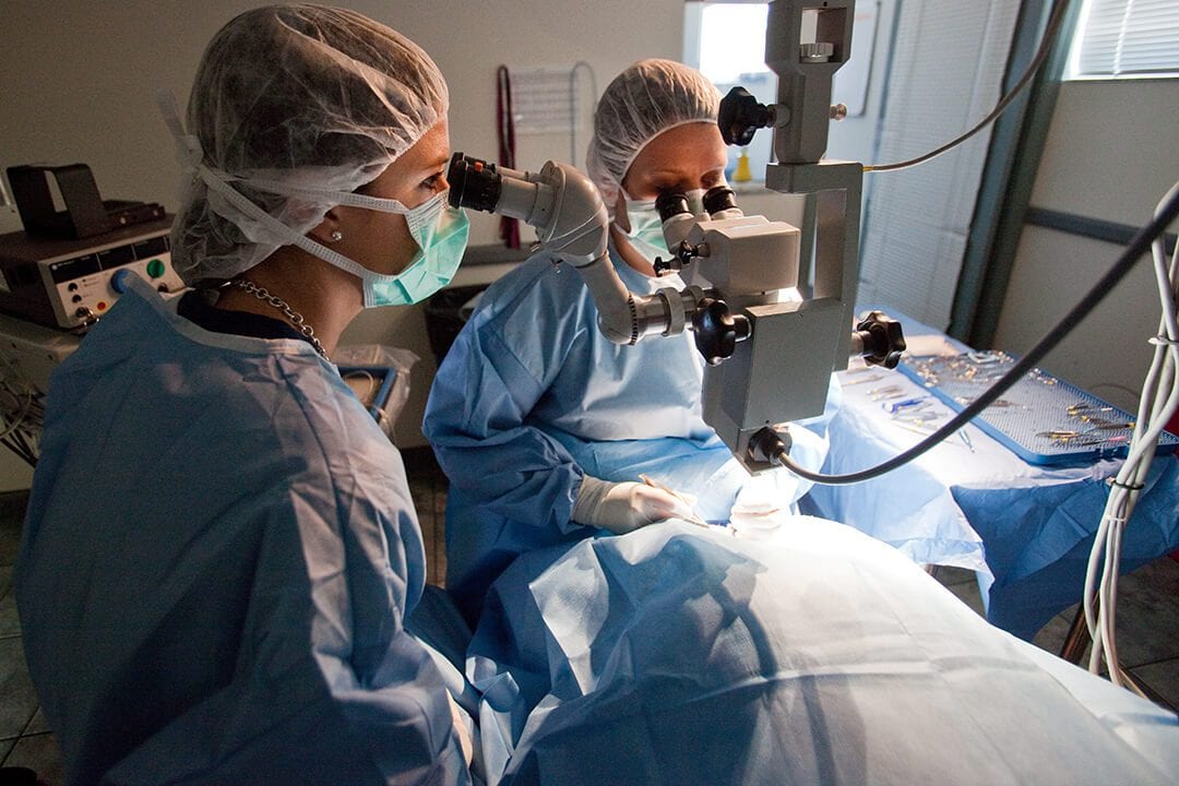 Two people in gowns, caps and masks using a surgical microscope at BluePearl Pet Hospital