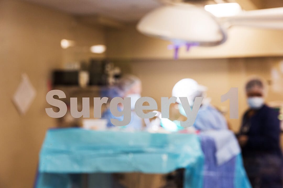 BluePearl Pet Hospital surgery room seen through glass lettered Surgery 1, with staff in masks and caps