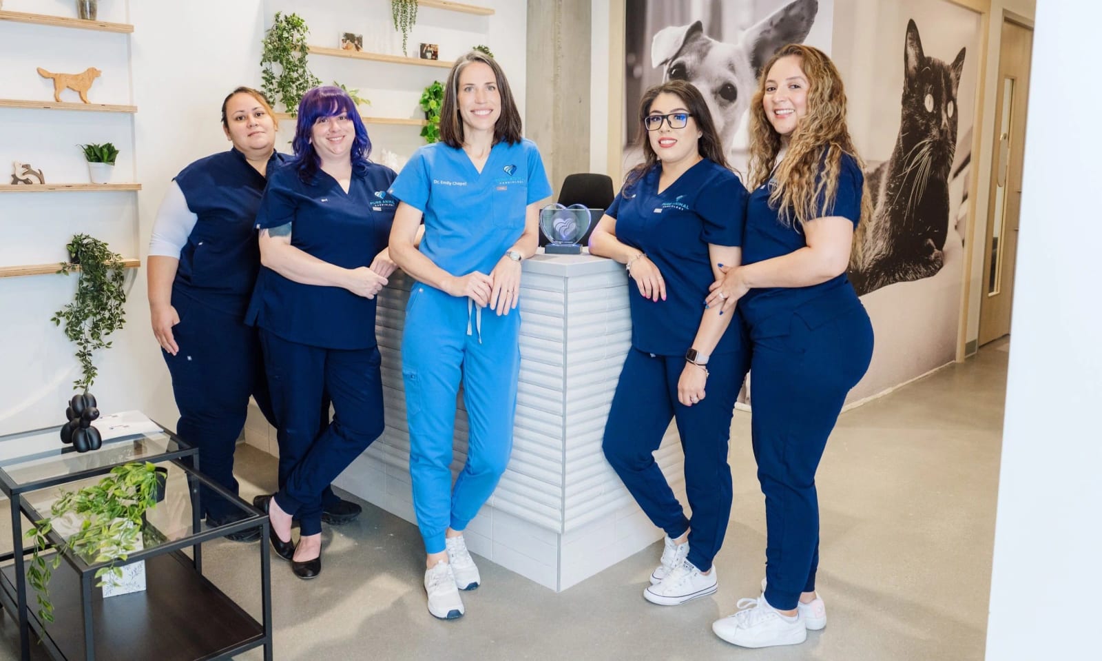 Five people in navy and blue scrubs posing around the reception counter at Pure Animal Cardiology