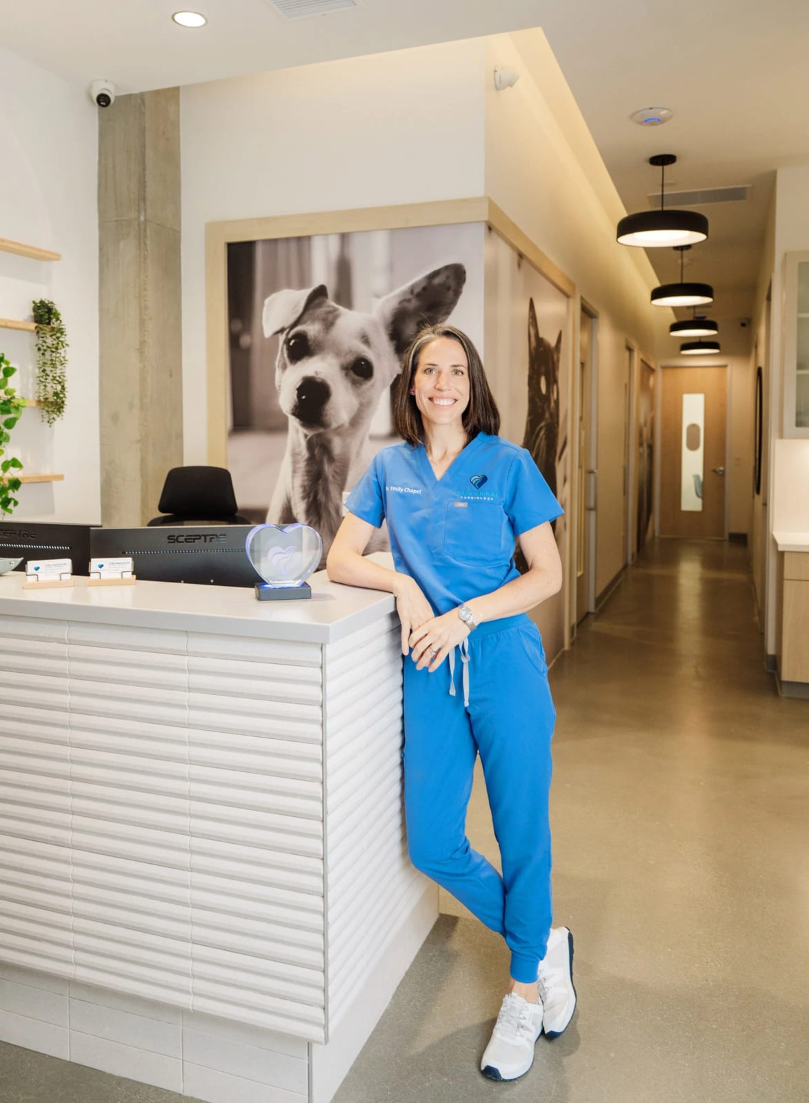Person in bright blue scrubs leaning on the reception counter at Pure Animal Cardiology