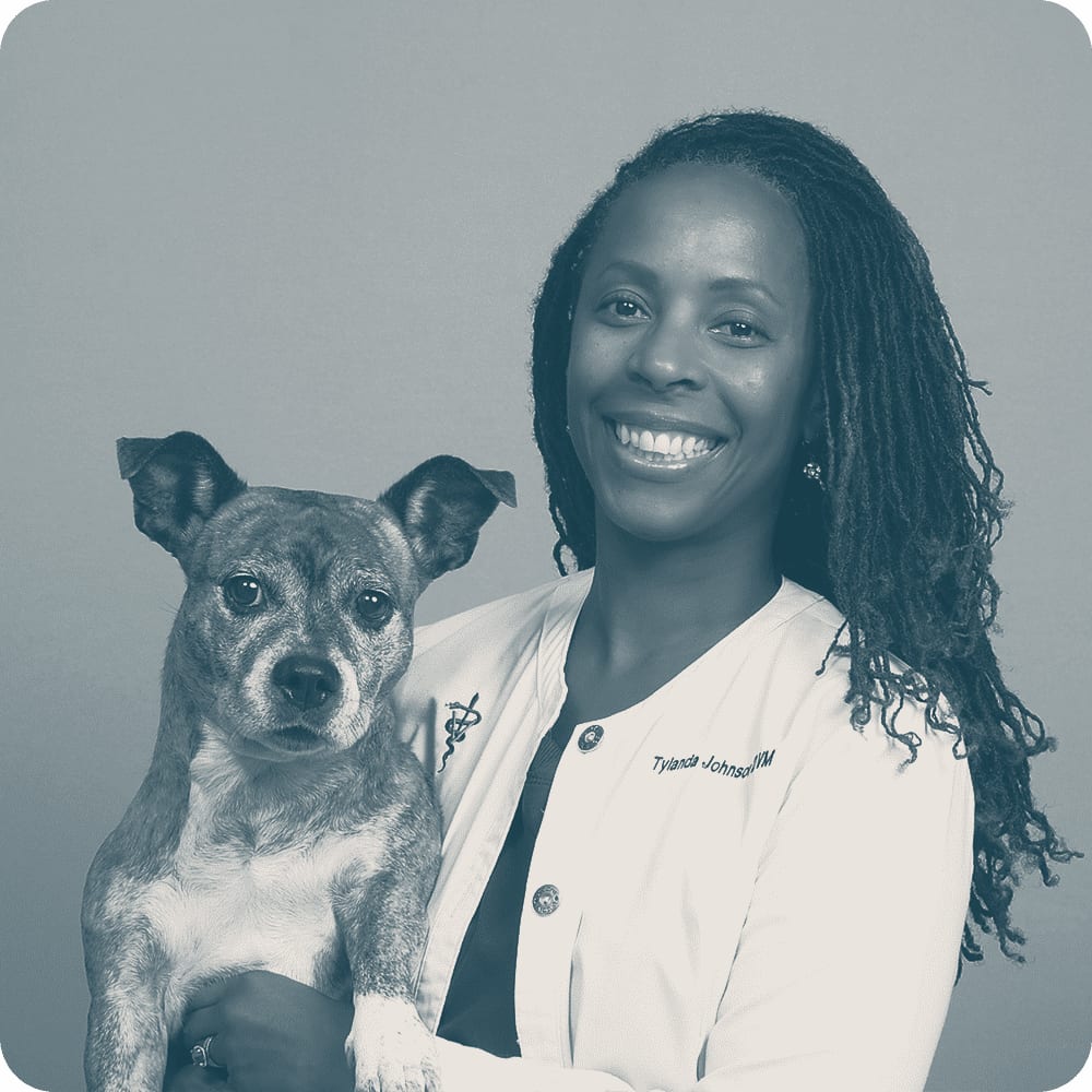 CityVet | Lower South End - Charlotte