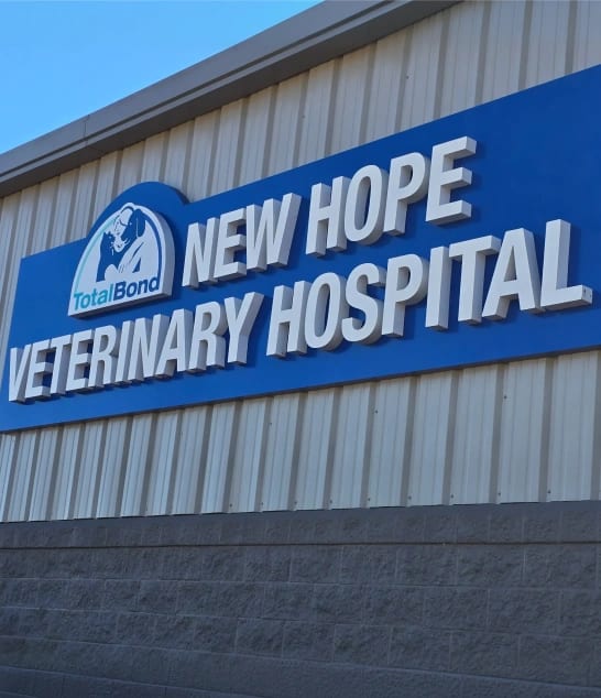 New Hope Veterinary Hospital - Belmont
