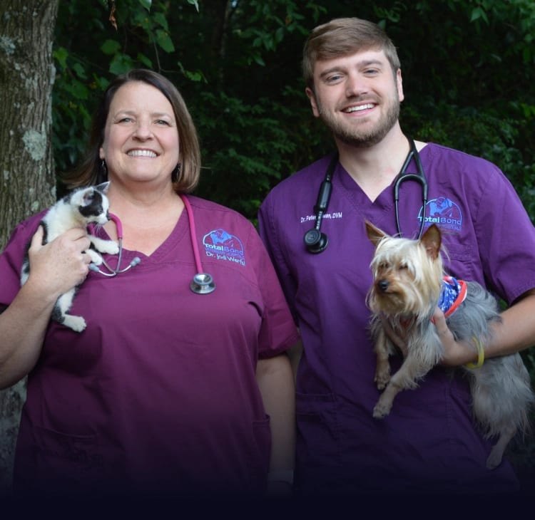 Woman and man in purple scrubs holding a small black and white dog and a small tan dog