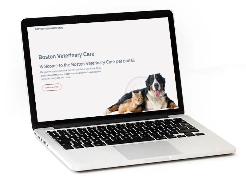 Laptop showing a pet portal welcome page with a large dog and an orange cat
