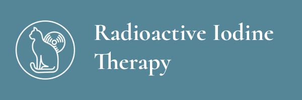 Teal tile with a white cat icon and the words Radioactive Iodine Therapy