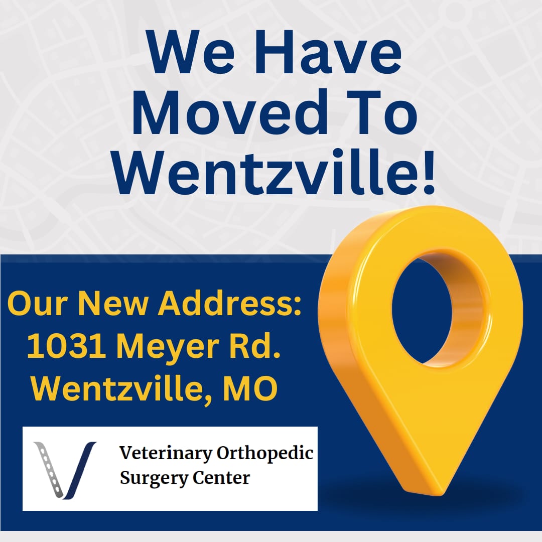 Veterinary Orthopedic Surgery Center - Wentzville