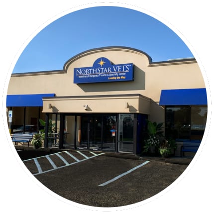 Circular view of the NorthStar VETS entrance with a blue sign and awnings above a parking lot