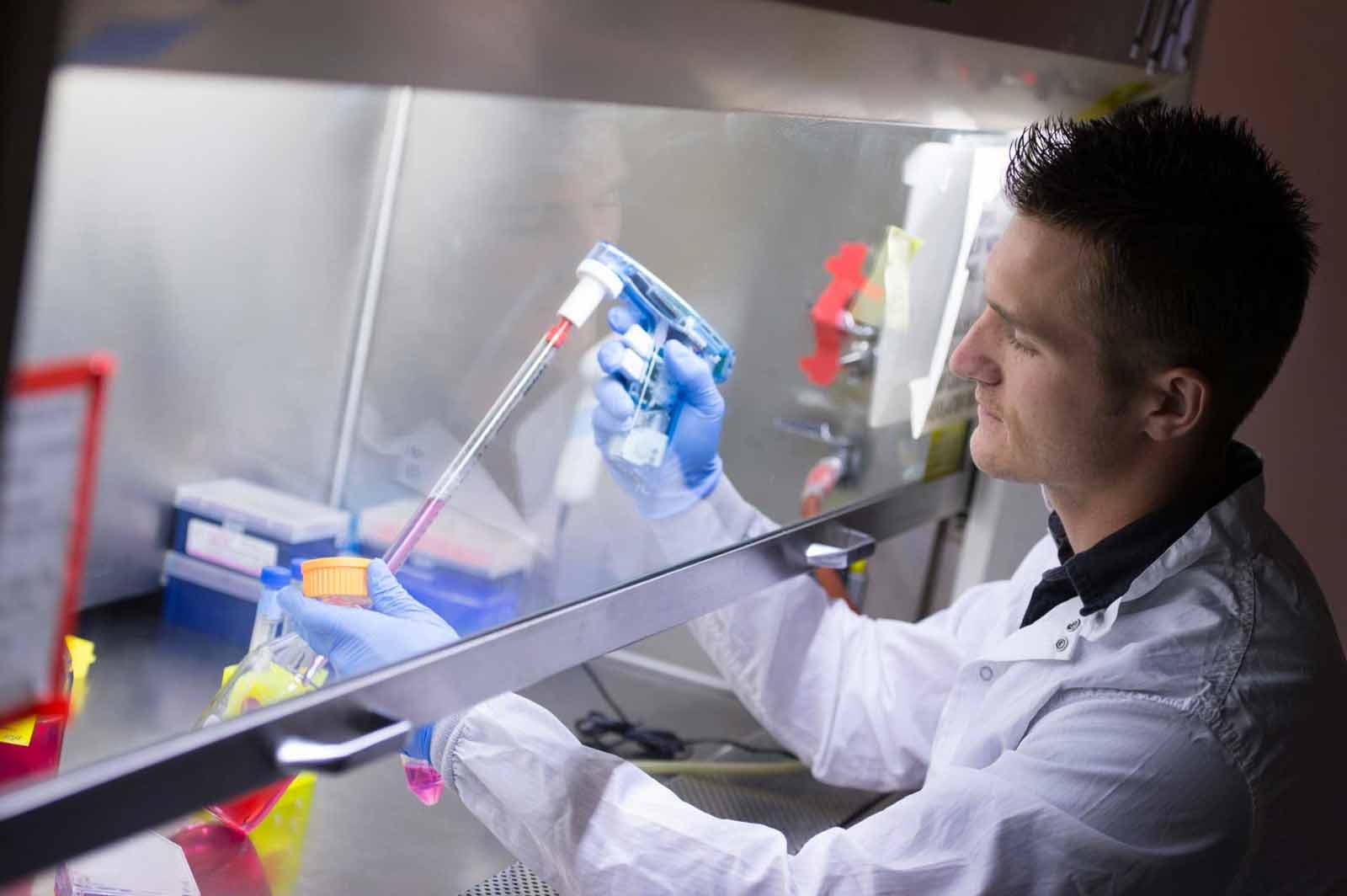 Person in a white lab coat and blue gloves holding a pipette over a dish behind a clear shield