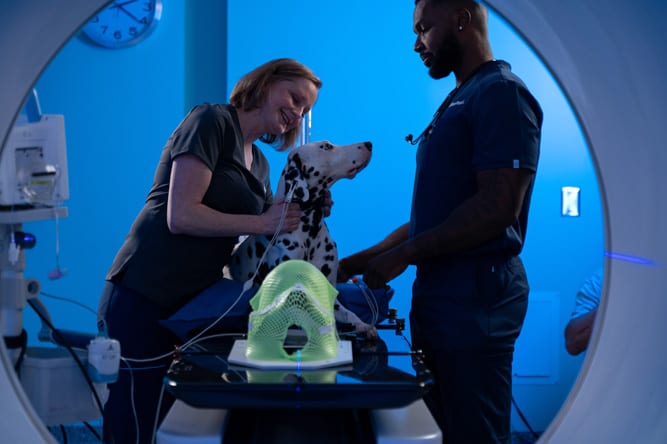 Two people in scrubs stand beside a spotted dog on a scanner table in a blue-lit room