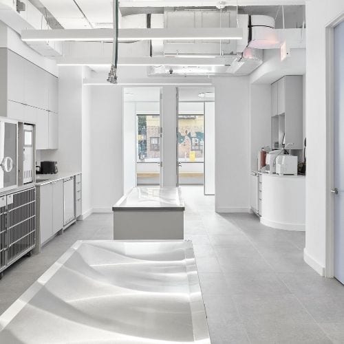 Brilliant Veterinary Care - New York