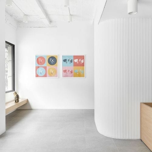 Bright white interior of Brilliant Veterinary Care with a cat on a wooden bench and two framed prints