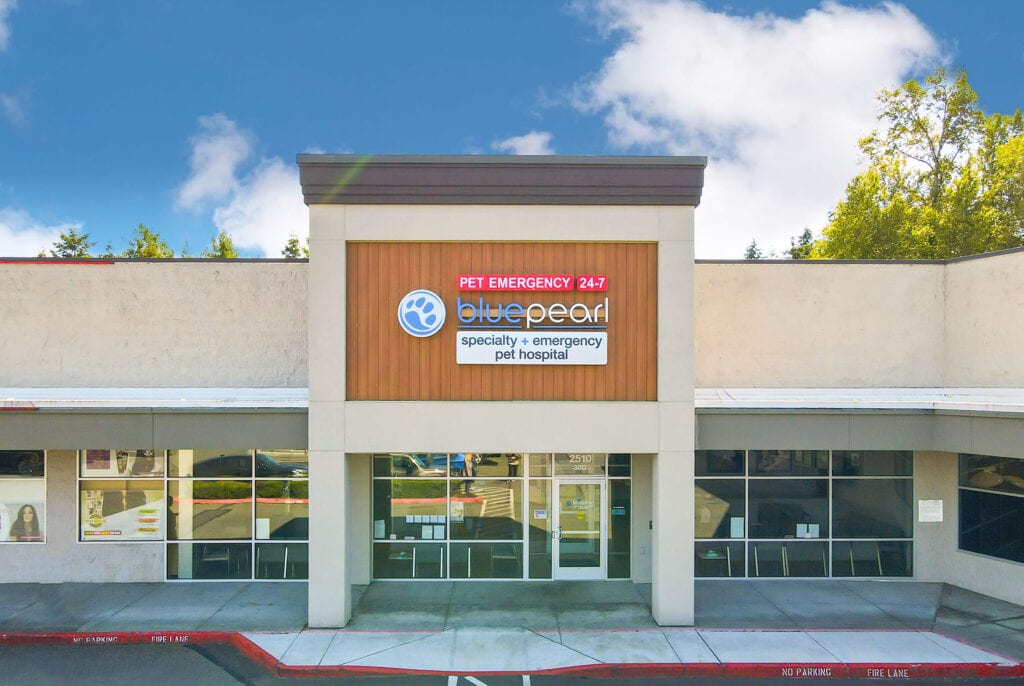 BluePearl pet hospital storefront with a red 24-7 pet emergency sign under a blue sky