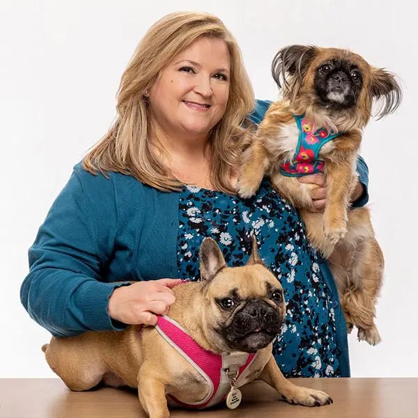 Smiling woman in a teal cardigan holding a small shaggy dog above a tan dog in a pink harness