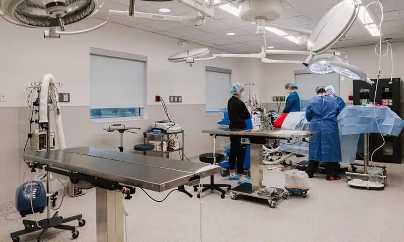 Operating room with overhead lights, a stainless steel table and staff in blue gowns