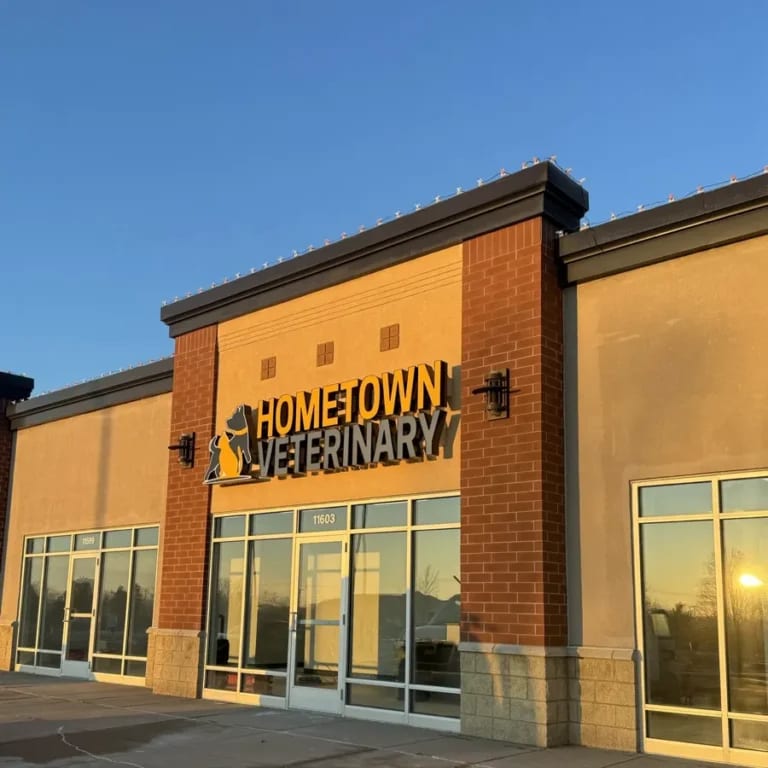 Front of a brick and tan veterinary building with an illuminated sign under a clear blue evening sky