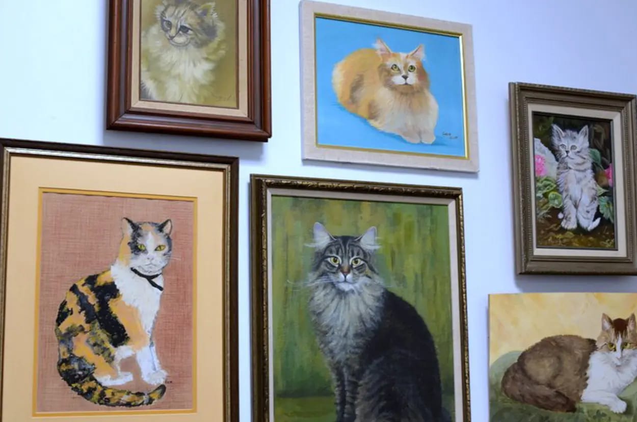 Wall of framed paintings and needlework of cats in wooden frames