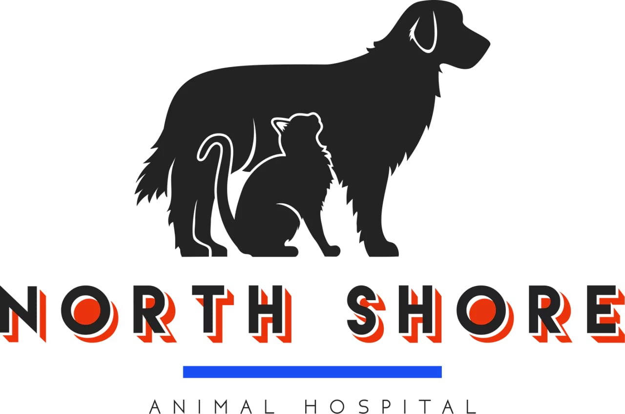 North Shore Animal Hospital - Queens
